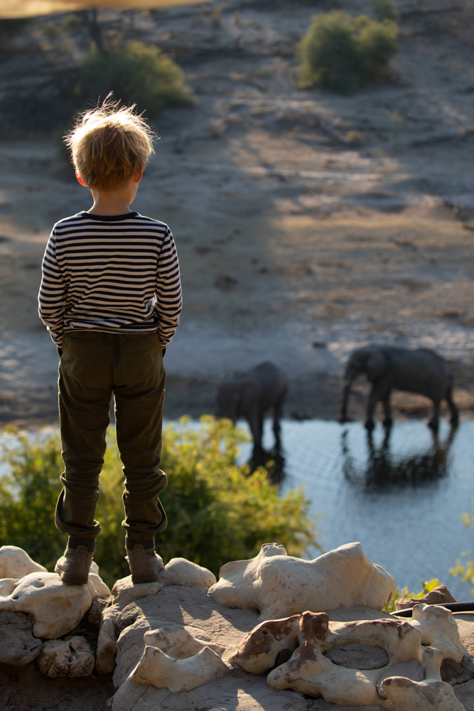 Child watching elephants on a luxury family safari in Africa.