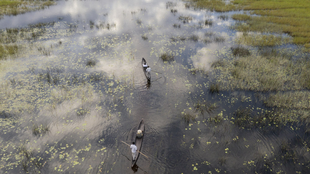 Aerial view of mokoro boats gliding through the Okavango Delta, Botswana luxury safari experience.