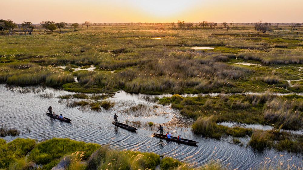 Mokoro boat | the Delta’s whisper.
