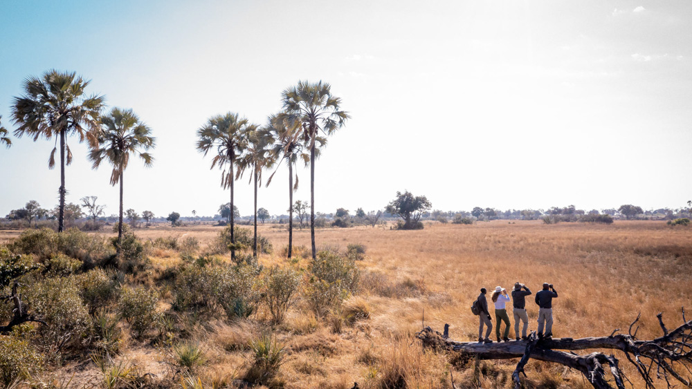 Walking safari in Botswana 