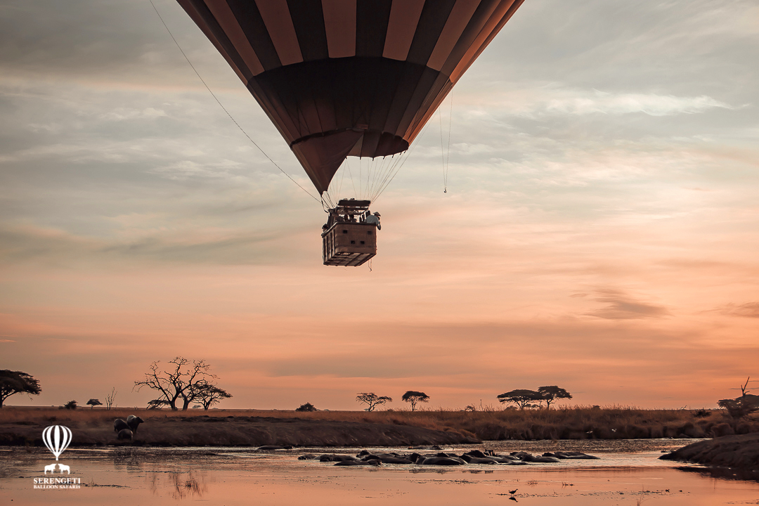 Hot air balloon | See the wild awake from the sky.