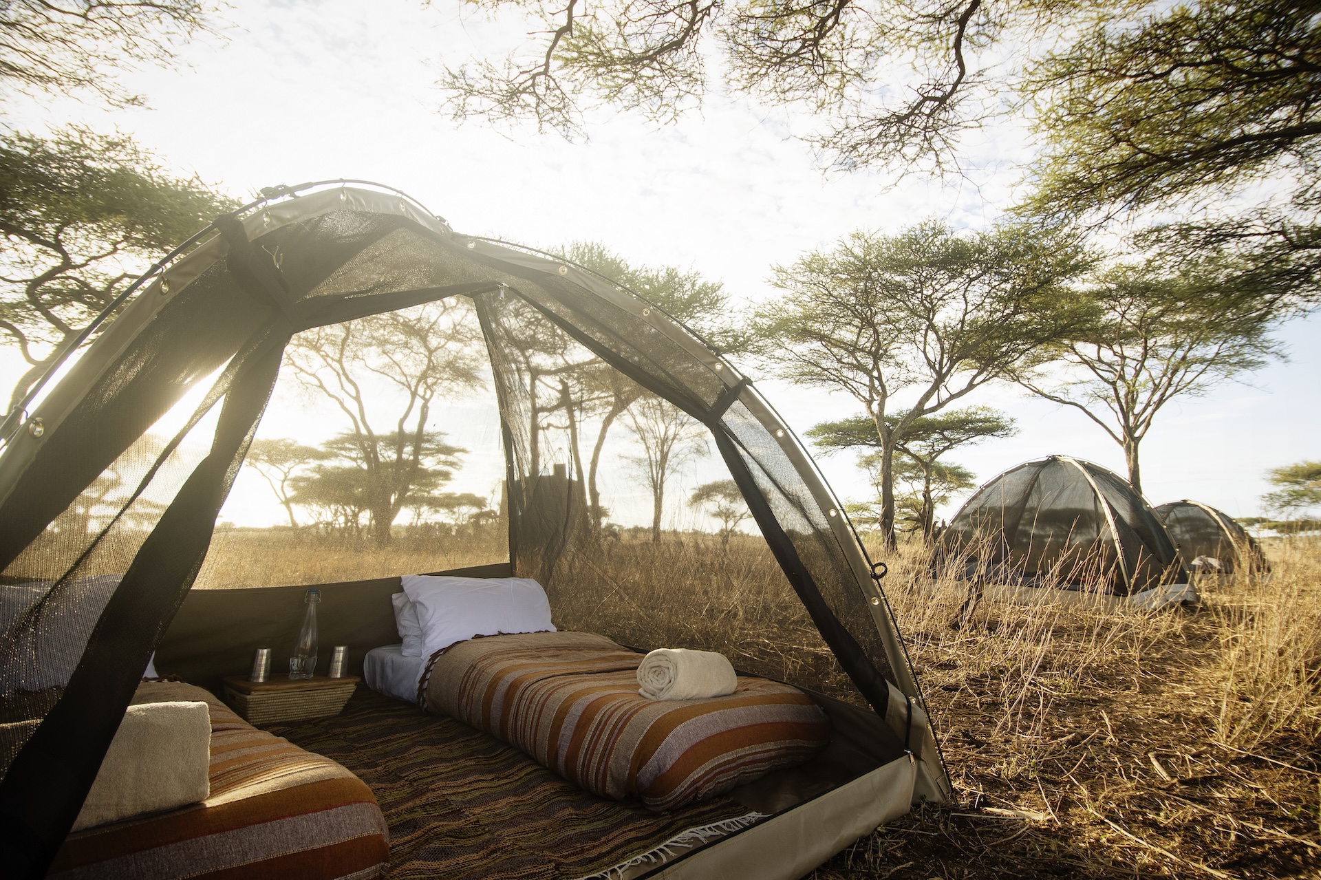 down to earth luxury safari fly camping tent with comfortable bedding in the African wilderness